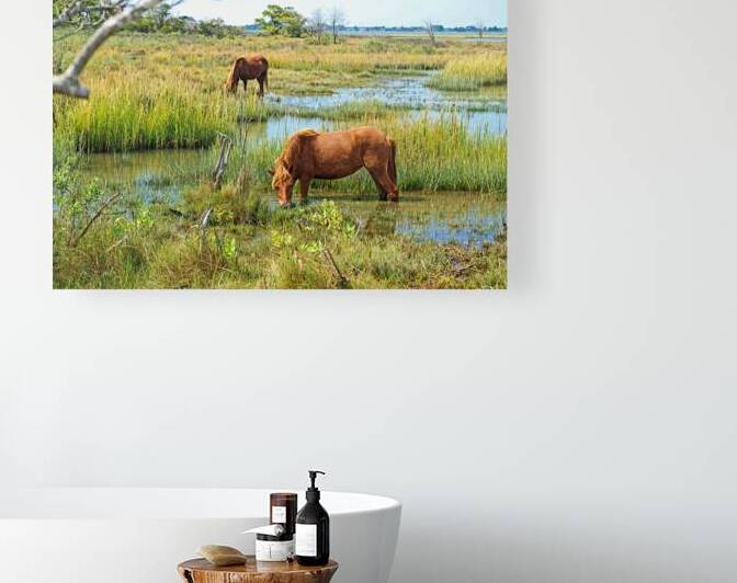 Horses Peaceful and Pastoral by Bill Swartwout Photography