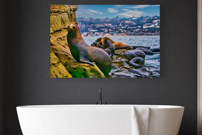 SEAL LIONS  by Charles Herchert