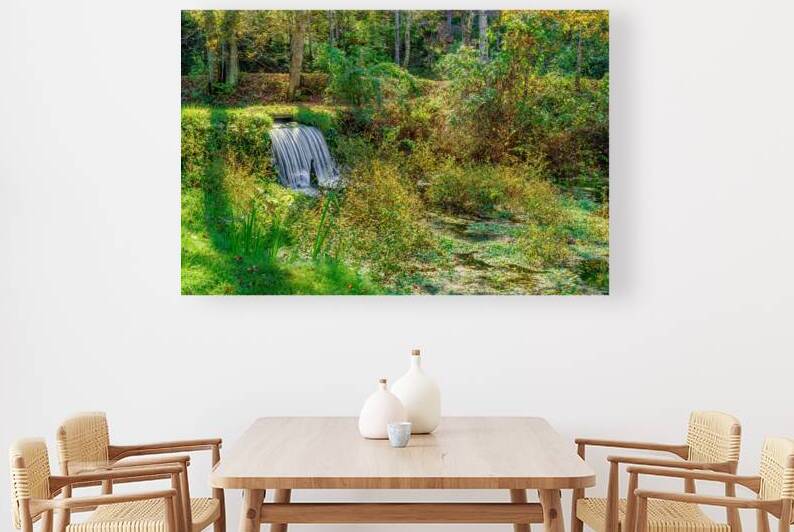 Ozarks Woodland Cascade by Jennifer White