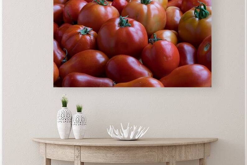 Roma Super Fantastic Tomatoes Fine Art Photography Wall Art by Bo Insogna
