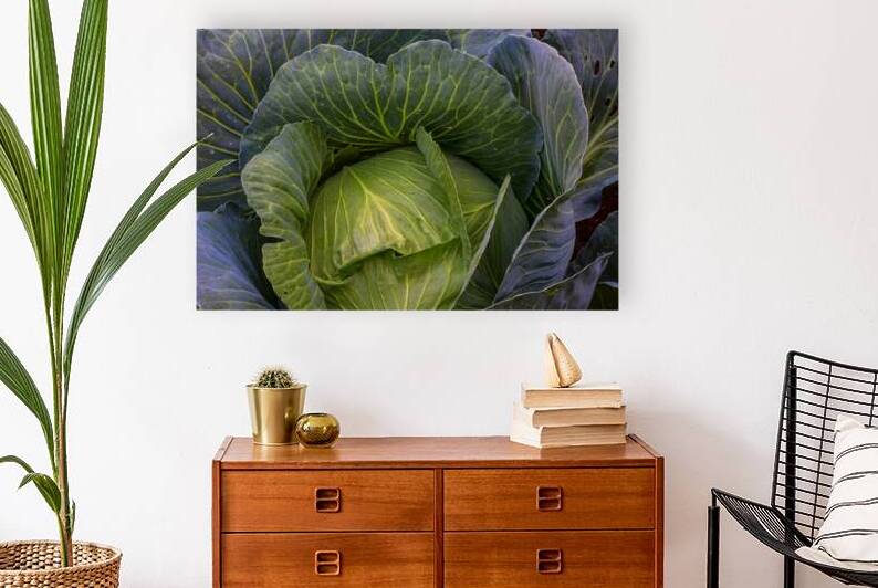 Verdant Embrace A Cabbages Garden Heart by Bo Insogna