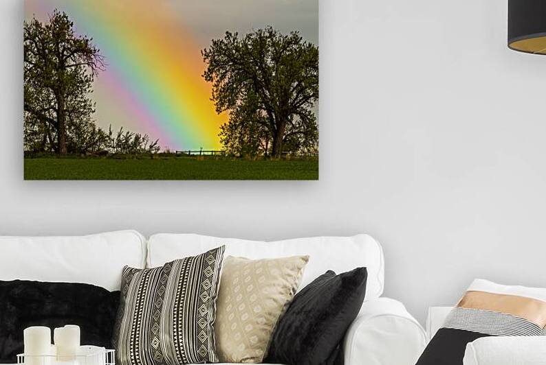 Where The Rainbow Meets The Earth by Bo Insogna