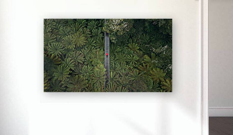 DJI 20230718170237 0042 D Edit by Auracity