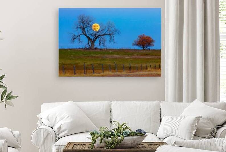 Supermoons Gilded Ascent A Celestial Masterpiece by Bo Insogna