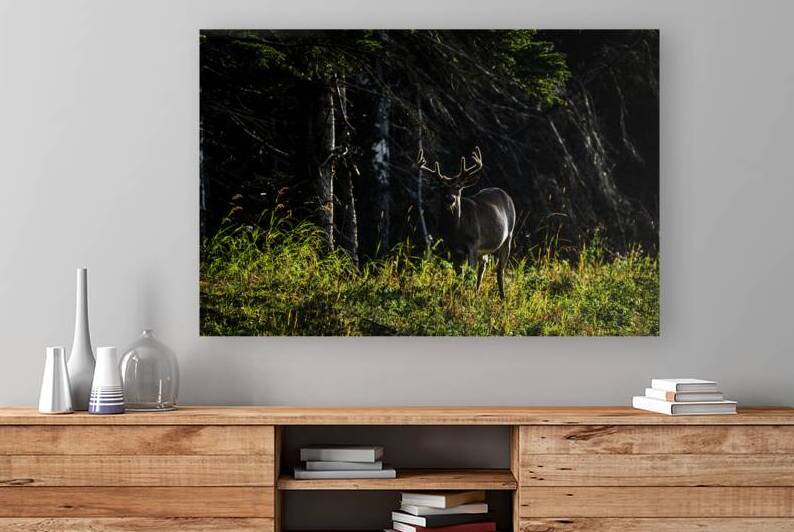 Great Prince of the Forest II by Francois Lapointe