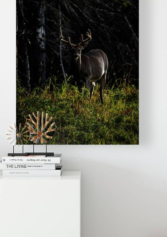 Great Prince of the Forest III by Francois Lapointe