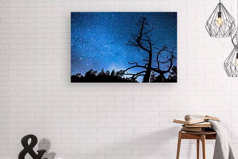 Starry Night at Bryce Canyon by Bo Insogna