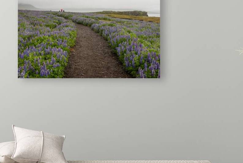 Path from the bird watching cliffs at Skalanes Nature Center by Steve Heap