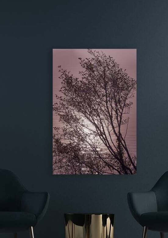 Silhouetted trees Ilwaco Harbor by Lisa von Biela