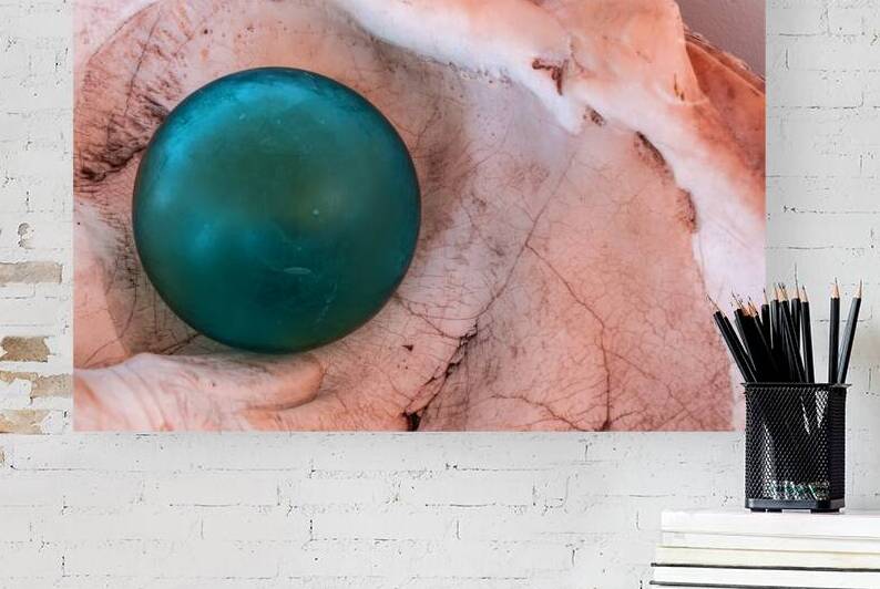 Glass float in shell by Lisa von Biela