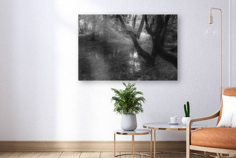 Quiet Forest Reflections by Norma Brandsberg Photography