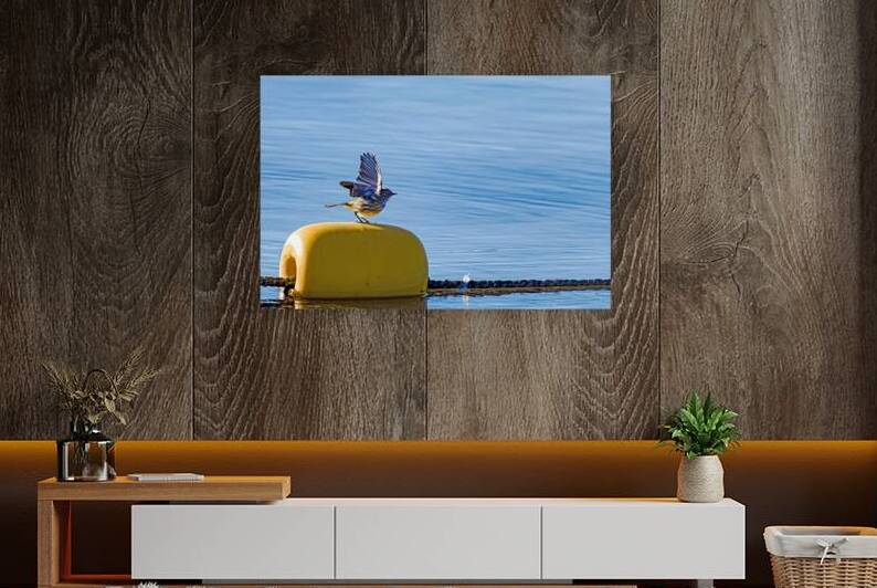 Golden crowned Kinglet Taking Off by Lisa von Biela