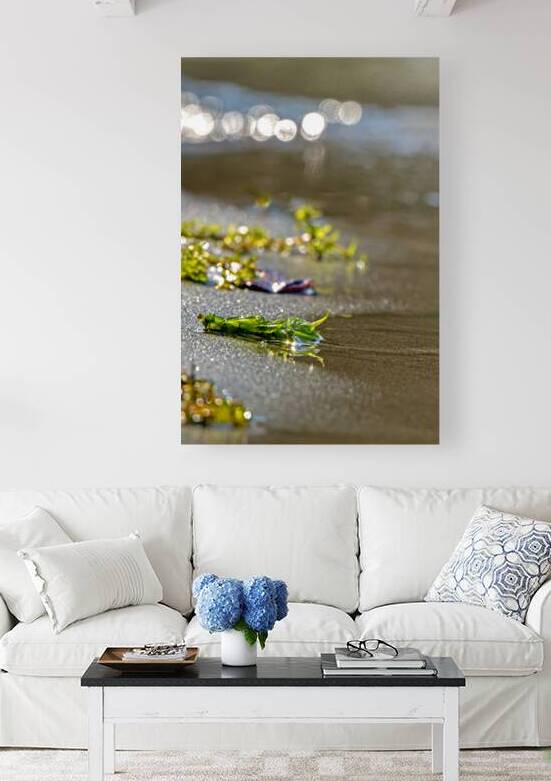 Bits of lake flora along the shore of Lake Sammamish by Lisa von Biela