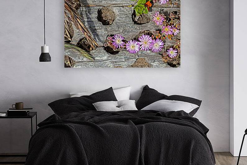 Tiny flowers in driftwood by Lisa von Biela