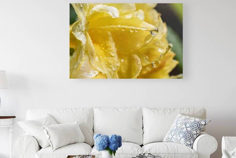 Yellow Azalea rain drops by Lisa von Biela