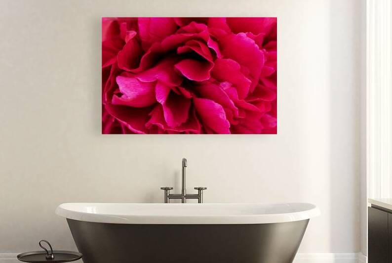 Close up of red peony by Lisa von Biela