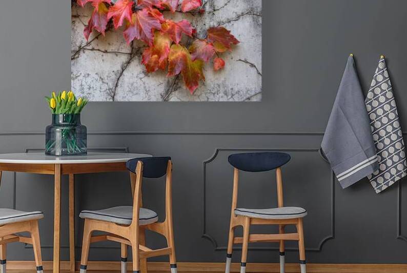 Fall leaves clinging to concrete wall by Lisa von Biela