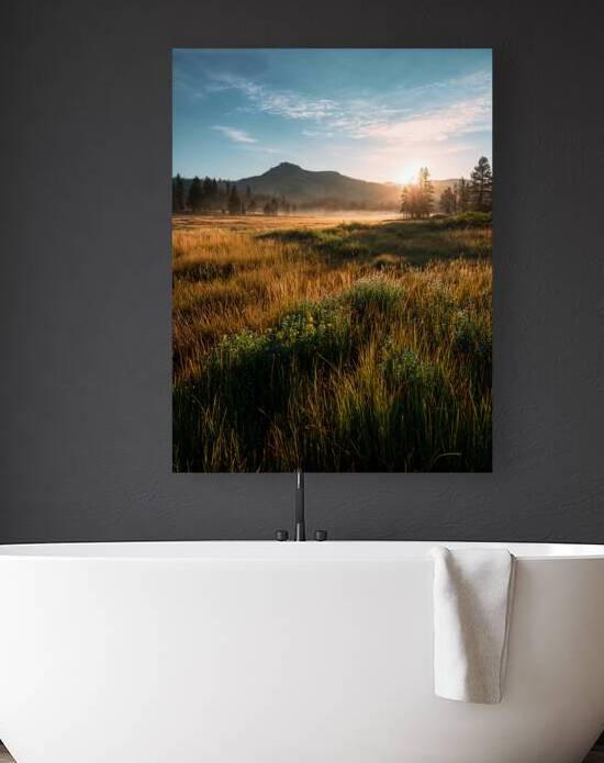 Mountain meadow sunrise 1 by Infinite Wall Art