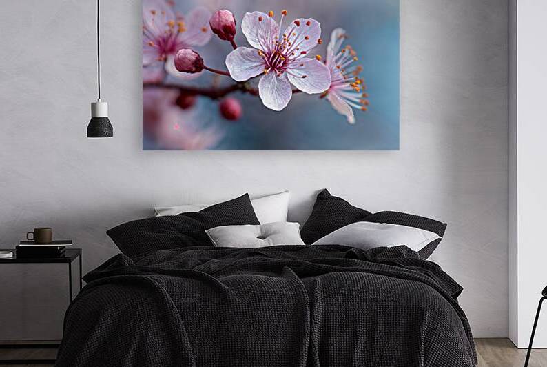 Cherry blooms by Infinite Wall Art