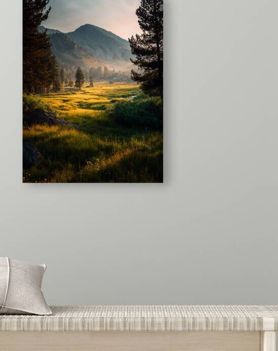 Mountain meadow sunrise 2 by Infinite Wall Art