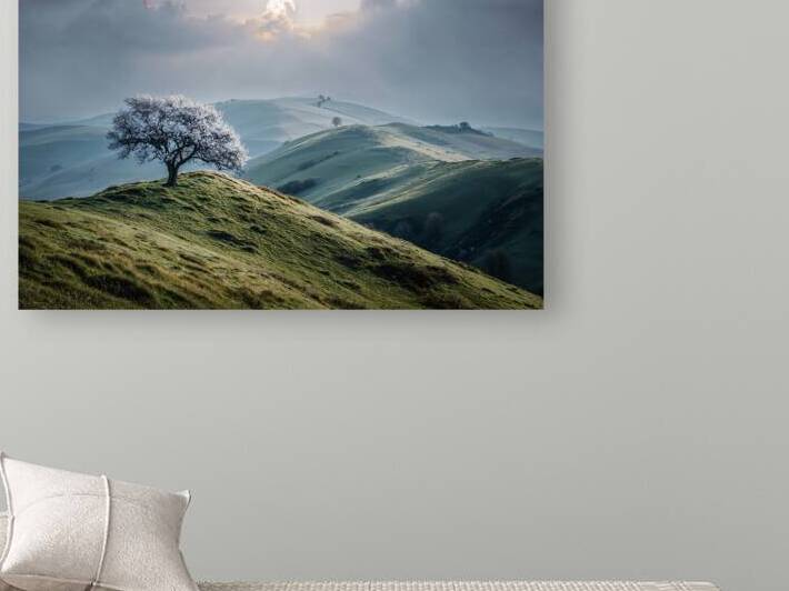 moonshine by Infinite Wall Art