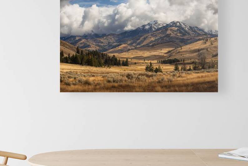 yellowstone autumn by Infinite Wall Art