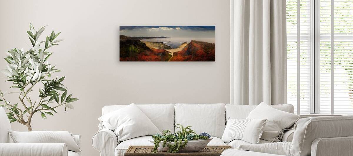 Path To The Shore In Mendocino by Frank Wilson