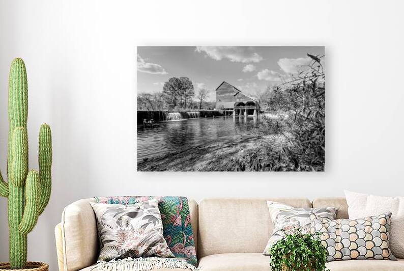 Framed By Nature Rockbridge Mill Grayscale by Jennifer White