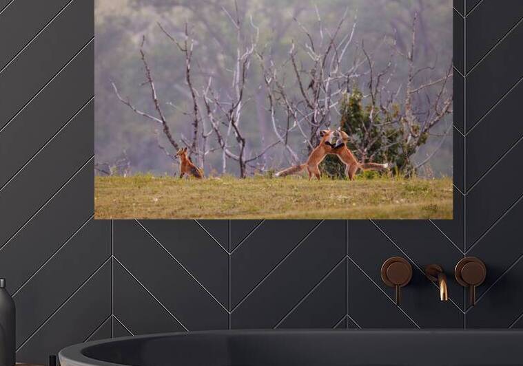 Don t Encourage Them by Cindy Moleski