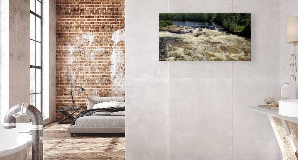 Rapids  by David Edwards