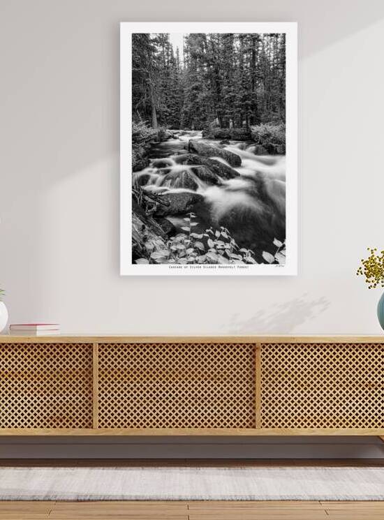 Cascade of Silver Silence Roosevelt Forest by Bo Insogna