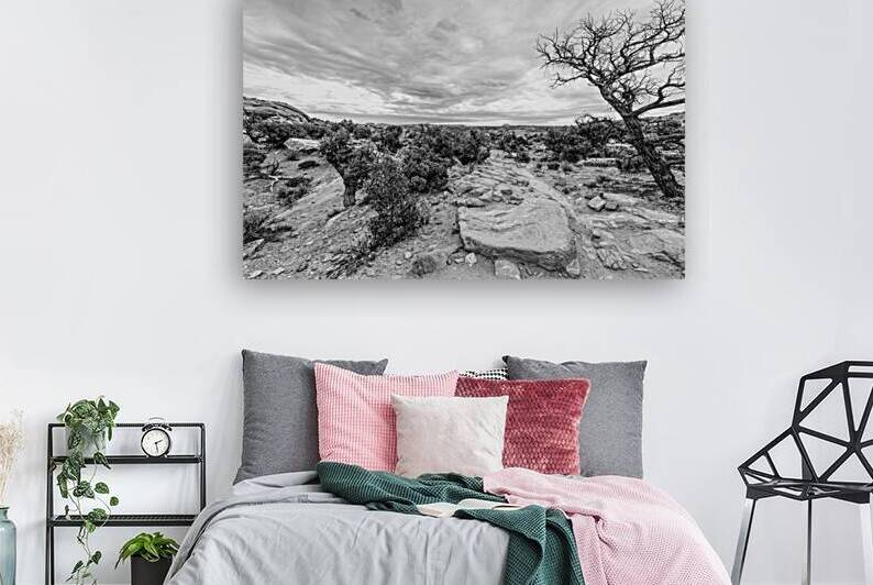 Canyonlands Desert Landscape Upheaval Trail Grayscale by Jennifer White