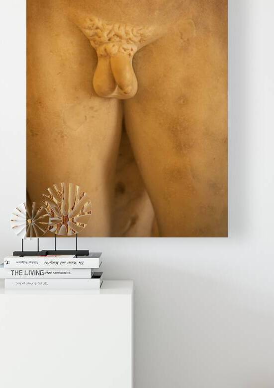 Detail of Male Genitals on Ancient Marble Statue by Paolo Modena