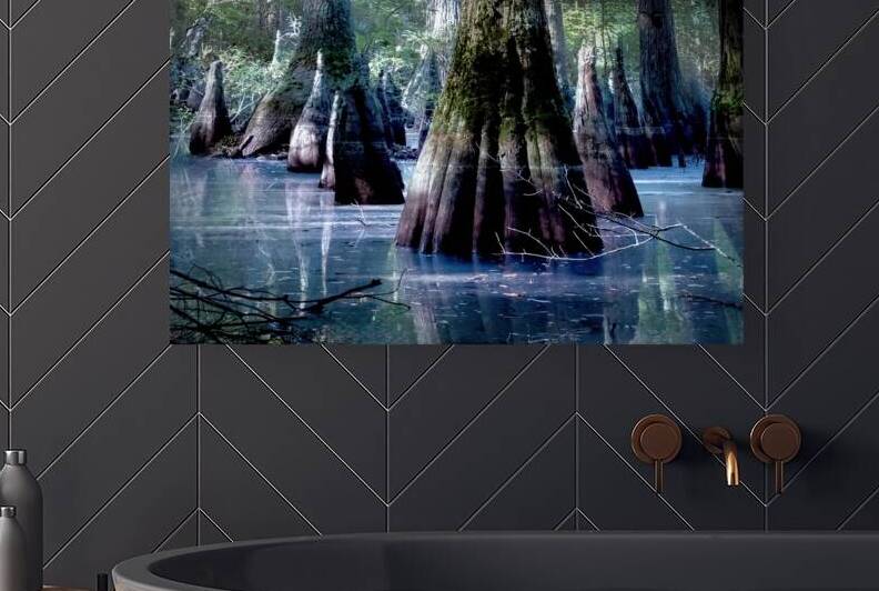 State Park Cypress Trees at Sunrise by Norma Brandsberg Photography