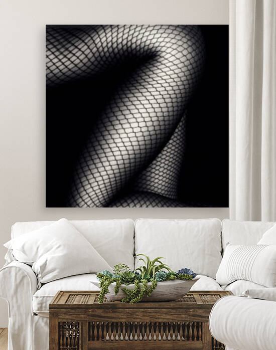 Legs in Fishnet Stockings 2 by Johan Swanepoel