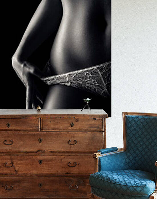 Woman in pantie closeup 2 by Johan Swanepoel