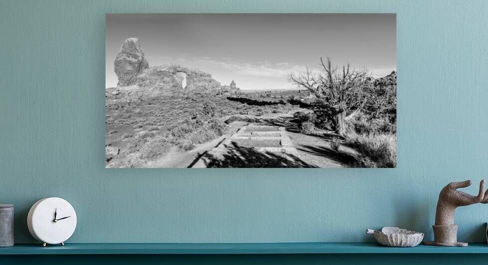 Turret Arch Pathway Pano Grayscale by Jennifer White