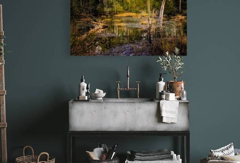 Serene Virginia Forest Swamp at Dusk by Norma Brandsberg Photography