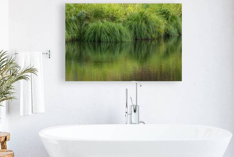 Dramatic green reflections of riverside plants by Lisa von Biela