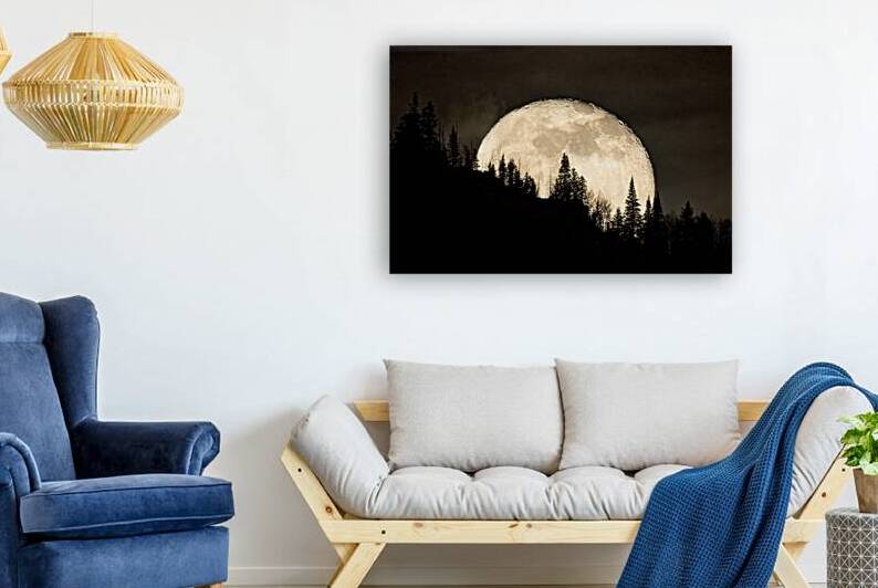 Rocky Mountain Moon 0C5A0419 by Touch Of Frank Photography