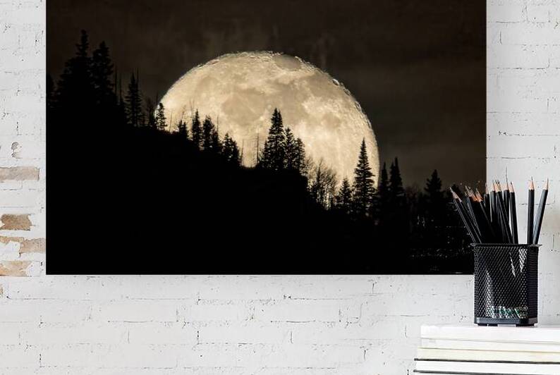 Rocky Mountain Moon 0C5A0417  by Touch Of Frank Photography