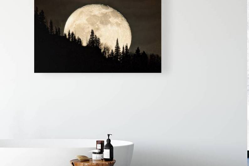 Rocky Mountain Moon 0C5A0422 by Touch Of Frank Photography