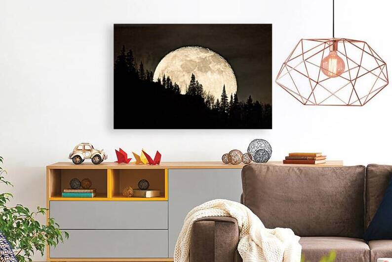 Rocky mountain Moon 0C5A0420 by Touch Of Frank Photography