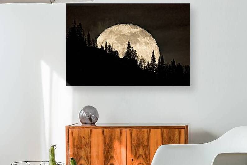 Rocky Mountain Moon 0C5A0418 by Touch Of Frank Photography