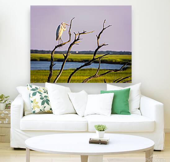 Guana Birds 6 by Against The Wind Images