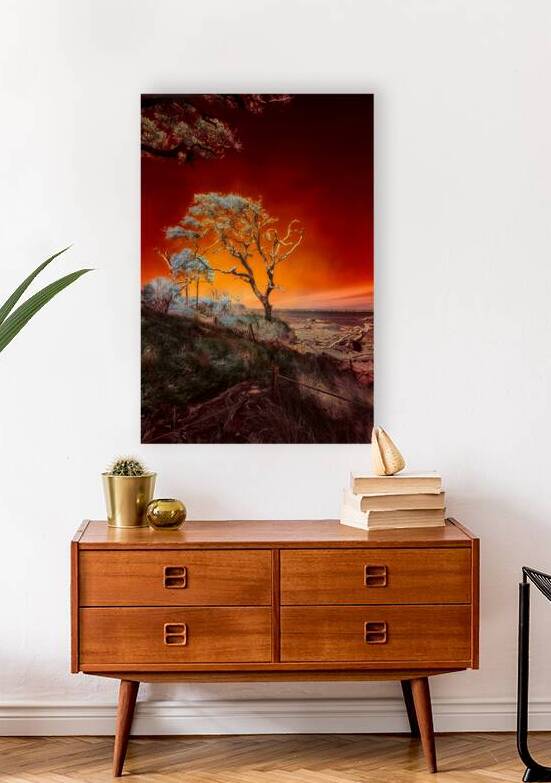 Ruby Bonsai: A Botanical Marvel Unveiled on Driftwood Beach by Dream World Images