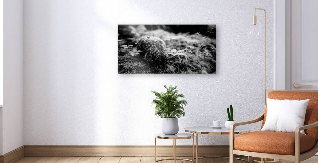 Mossy Whispers by Dream World Images