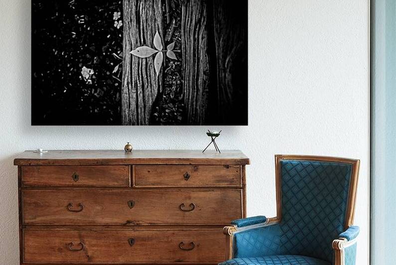 Step Above  by Dream World Images