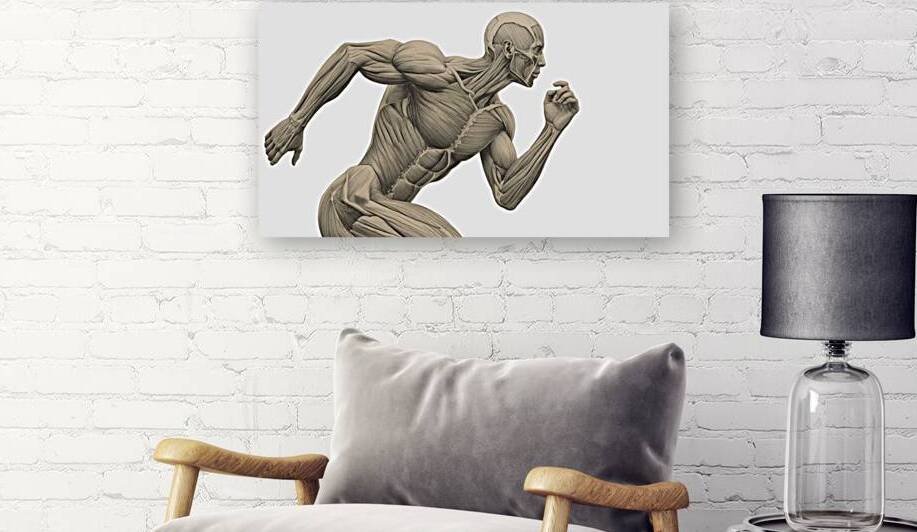 Graphite Velocity — Classical Runner Muscle Study by MotivatePrints