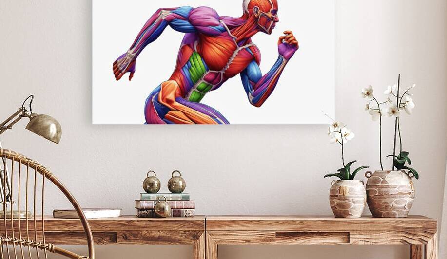 Spectrum of Strength — Color-Coded Runner Anatomy by MotivatePrints